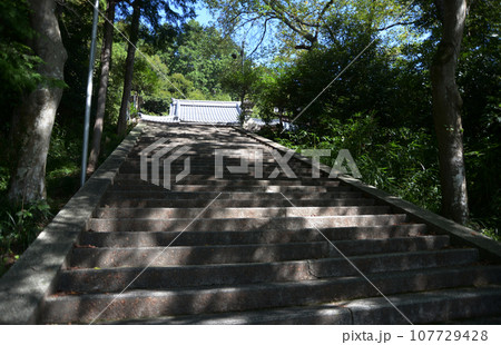成願寺　参道と本堂　滋賀県東近江市小脇町 107729428