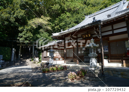 成願寺　本堂と太郎坊宮参道入口　滋賀県東近江市小脇町 107729432