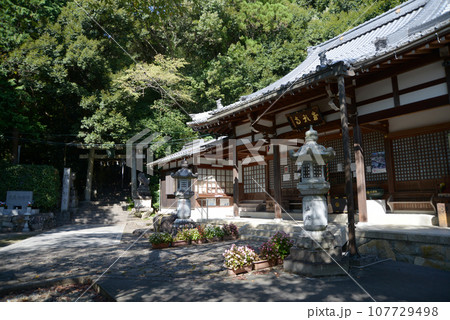 成願寺 本堂と太郎坊宮参道入口 滋賀県東近江市小脇町 成願寺 本堂と太郎坊宮参道入口 滋賀県東近江市小脇町 107729498