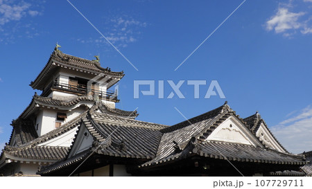 高知城 天守閣 高知城 天守閣 107729711