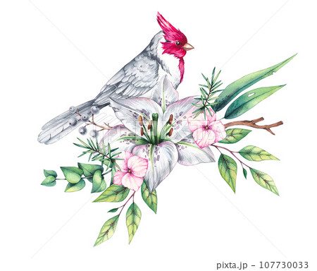 Red cardinal bird, bouquets and wreaths on white 107730033