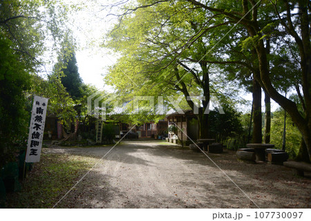 金胎寺　境内　京都府相楽郡和束町原山 107730097