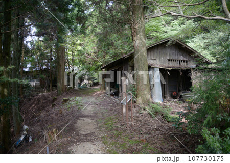 金胎寺　境内　京都府相楽郡和束町原山 107730175