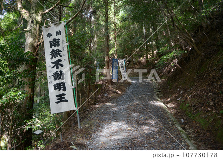 金胎寺　本堂への参道　京都府相楽郡和束町原山 107730178
