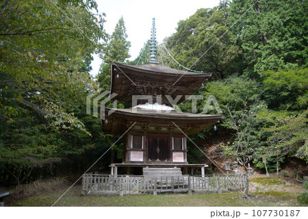 金胎寺　多宝塔　京都府相楽郡和束町原山 107730187