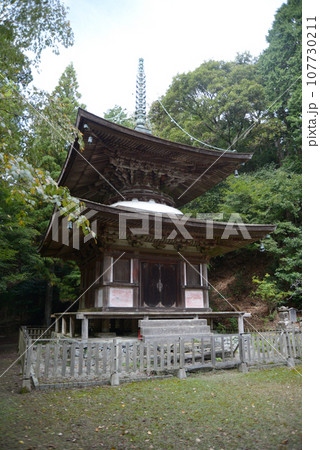 金胎寺　多宝塔　京都府相楽郡和束町原山 107730211
