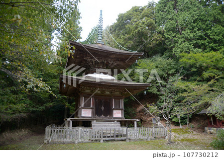 金胎寺　多宝塔　京都府相楽郡和束町原山 107730212