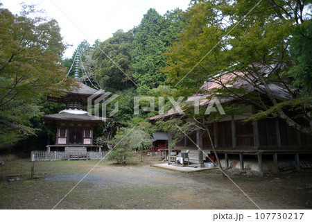 金胎寺　多宝塔と本堂　京都府相楽郡和束町原山 107730217
