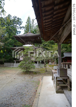金胎寺　本堂と多宝塔　京都府相楽郡和束町原山 107730276