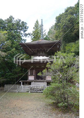金胎寺　多宝塔　京都府相楽郡和束町原山 107730277