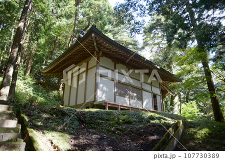 金勝寺　虚空蔵堂　滋賀県栗東市荒張 107730389