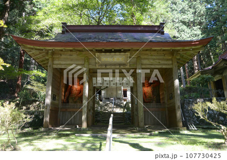 金勝寺 仁王門 滋賀県栗東市荒張 金勝寺 仁王門 滋賀県栗東市荒張 107730425