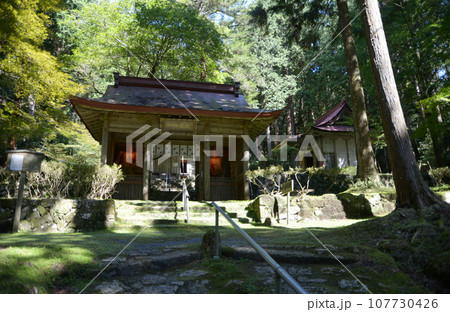 金勝寺　参道と仁王門　滋賀県栗東市荒張 107730426