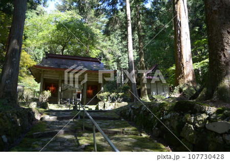金勝寺　参道と仁王門　滋賀県栗東市荒張 107730428