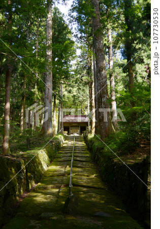 金勝寺　参道と仁王門　滋賀県栗東市荒張 107730530