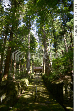 金勝寺　参道と仁王門　滋賀県栗東市荒張 107730531