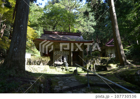 金勝寺 参道と仁王門 滋賀県栗東市荒張 金勝寺 参道と仁王門 滋賀県栗東市荒張 107730536