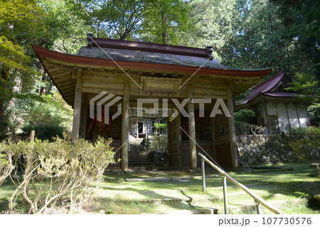 金勝寺　仁王門　滋賀県栗東市荒張 107730576