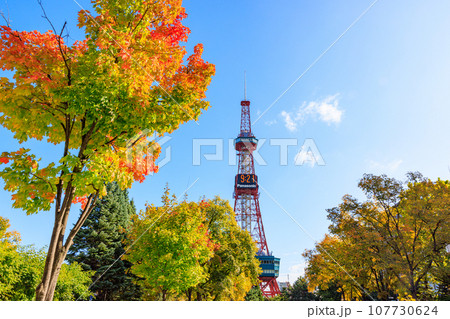 紅葉した葉と花とさっぽろテレビ塔 107730624