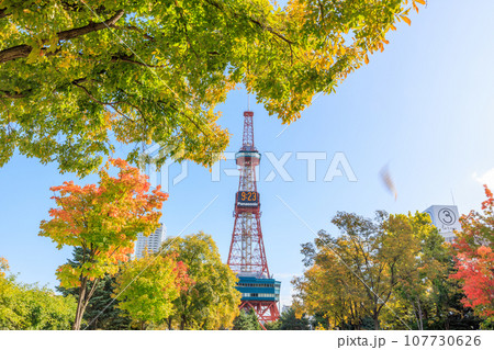 紅葉した葉と花とさっぽろテレビ塔 紅葉した葉と花とさっぽろテレビ塔 107730626