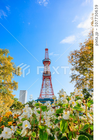 紅葉した葉と花とさっぽろテレビ塔 107730639