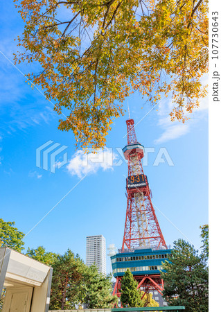 紅葉した葉と花とさっぽろテレビ塔 107730643