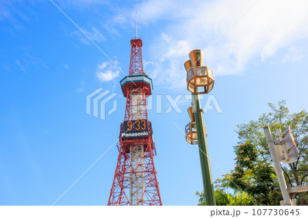 紅葉した葉と花とさっぽろテレビ塔 107730645