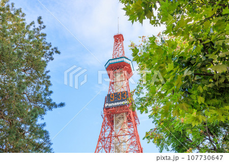 紅葉した葉と花とさっぽろテレビ塔 107730647