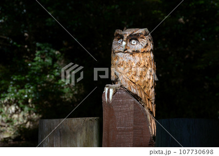 金勝寺　本堂縁側のフクロウ像　滋賀県栗東市荒張 107730698