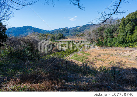 歴史ある公園風景 (日本最大、最後の内戦「西南の役」の激戦地)田原坂公園 歴史ある公園風景 (日本最大、最後の内戦「西南の役」の激戦地)田原坂公園 107730740