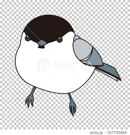 圓黑冠山雀 107730884