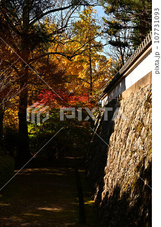 播州清水寺の紅葉 107731093