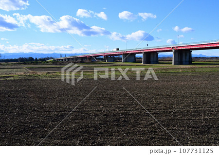 河川敷から川幅日本一の御成橋を見る 107731125