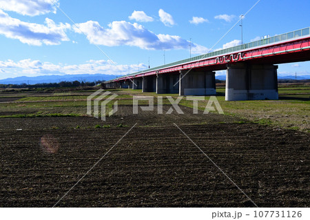 河川敷から川幅日本一の御成橋を見る 河川敷から川幅日本一の御成橋を見る 107731126