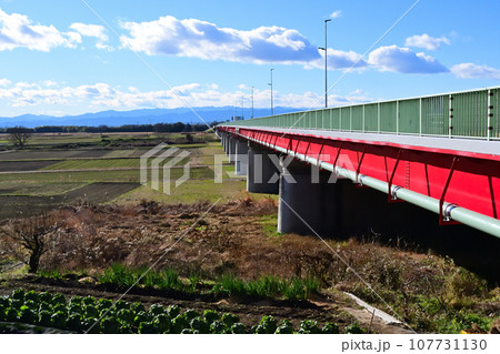 河川敷から川幅日本一の御成橋を見る 107731130