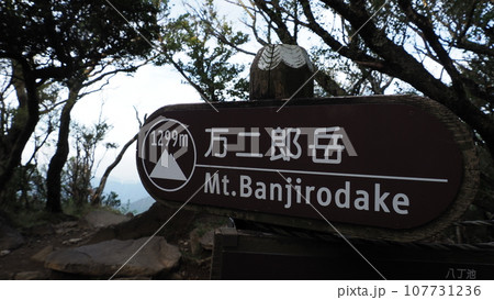 伊豆 万二郎岳 107731236
