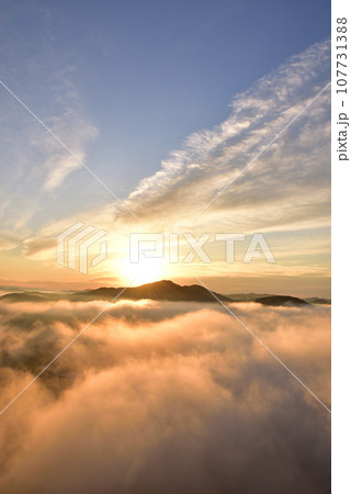 鎌倉山の雲海 鎌倉山の雲海 107731388