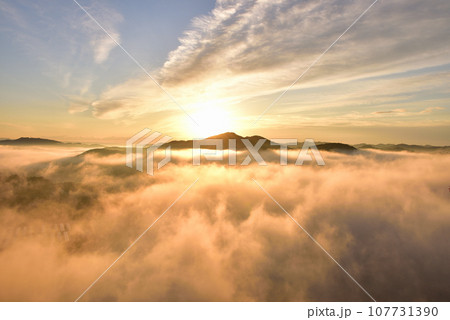 鎌倉山の雲海 107731390