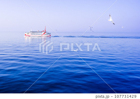 美しい海と青空（潮風の散歩道）　フェリー航海とカモメ（海鳥）「島原港・熊本港　船旅風景」 107731429