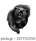 熊 107731550