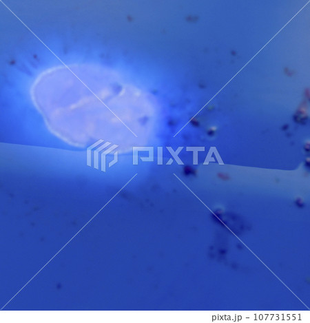 抽象背景　背景素材　抽象素材 107731551