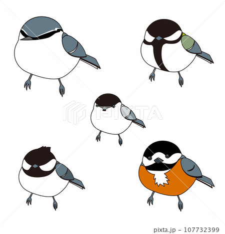 森の小鳥 ガラのセット(ゴジュウカラ、シジュウカラ、ヤマガラ、ヒガラ、コガラ) 森の小鳥 ガラのセット(ゴジュウカラ、シジュウカラ、ヤマガラ、ヒガラ、コガラ) 107732399