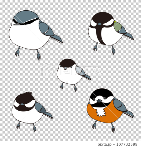 森の小鳥 ガラのセット(ゴジュウカラ、シジュウカラ、ヤマガラ、ヒガラ、コガラ) 森の小鳥 ガラのセット(ゴジュウカラ、シジュウカラ、ヤマガラ、ヒガラ、コガラ) 107732399
