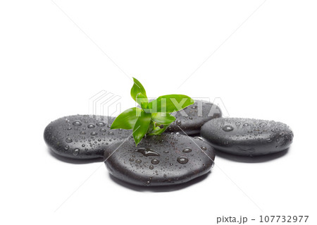 Spa concept Spa concept 107732977
