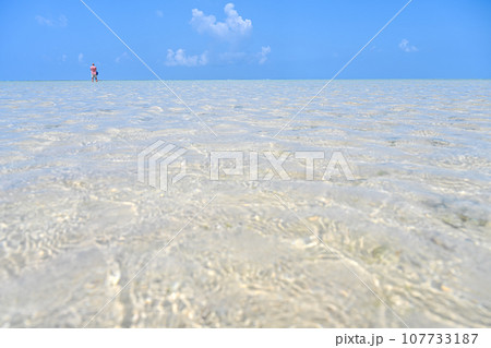 夏空と澄み切った透明で綺麗な海　【沖縄風景】 107733187