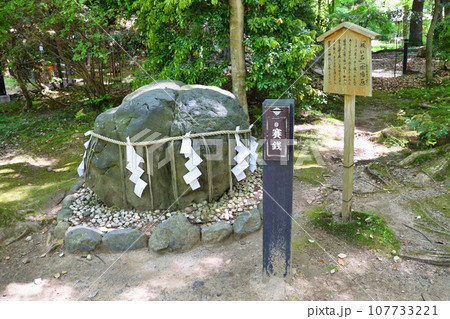 京都 上賀茂神社　渉渓園の願い石（陰陽石） 107733221