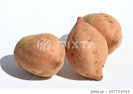 さつまいも（安納芋） 107733241