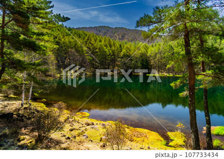 御射鹿池 107733434