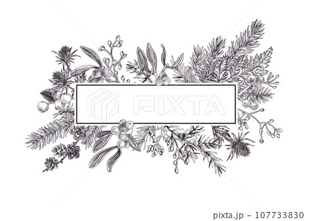 Christmas frame with winter plants. Botanical illustration. Composition with spruce, eucalyptus seeds, fern, juniper, mistletoe, larch cones, bluehead. Black. Outline, no fill. Sketch style. 107733830