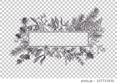 Christmas frame with winter plants. Botanical illustration. Composition with spruce, eucalyptus seeds, fern, juniper, mistletoe, larch cones, bluehead. Black. Outline, no fill. Sketch style. 107733830